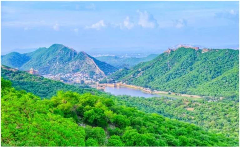 Aravalli Hills